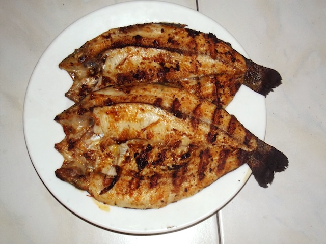 Keban alabalığı
